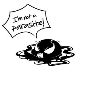 Meet your Posher, Anne